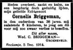 Briggeman Cornelis-NBC-10-12-1914  (Groeneveld 210 ).jpg